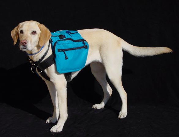 classi pack click to see more